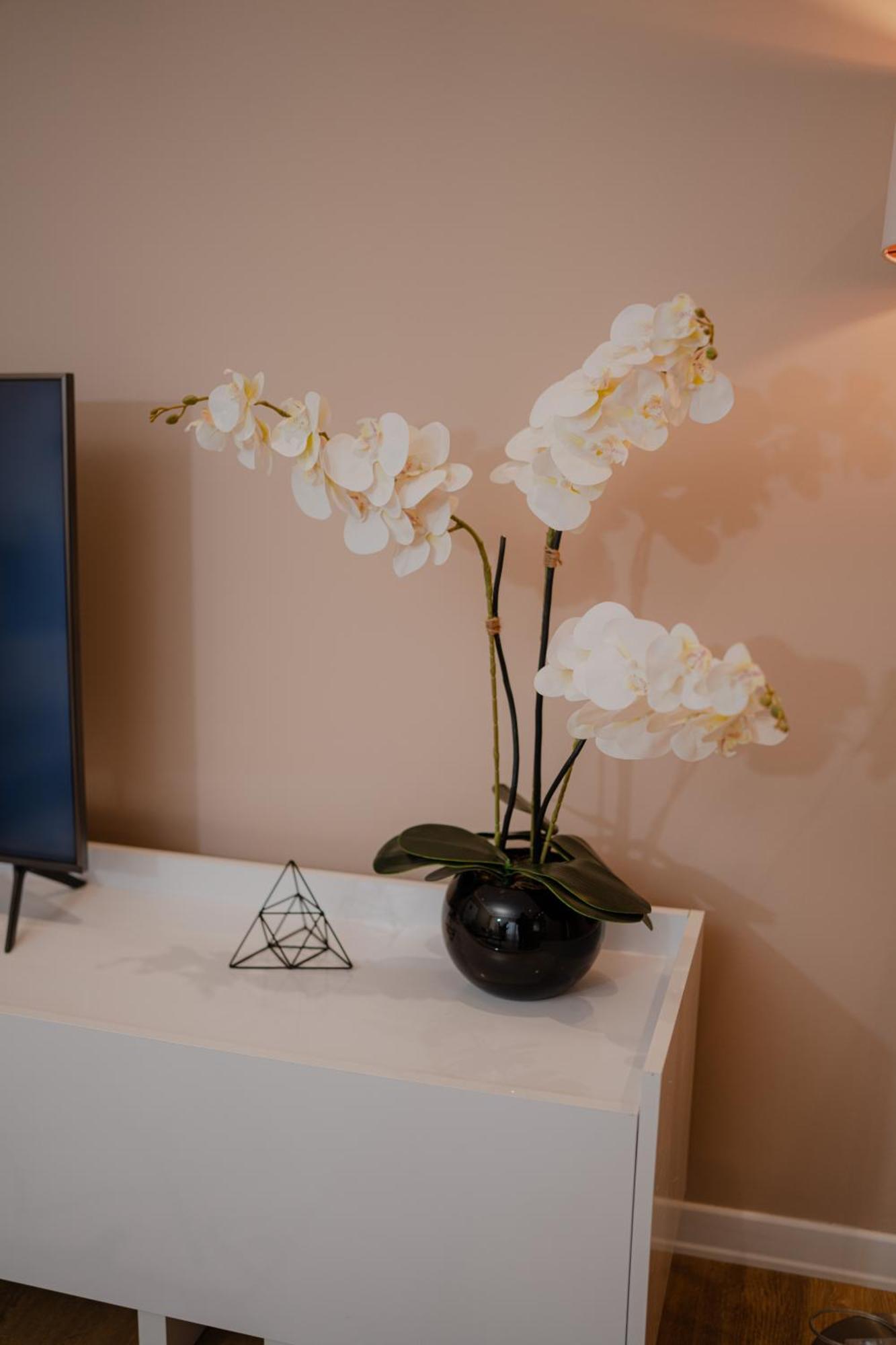 Lake Drive Rooms&Apartments Тирана Экстерьер фото