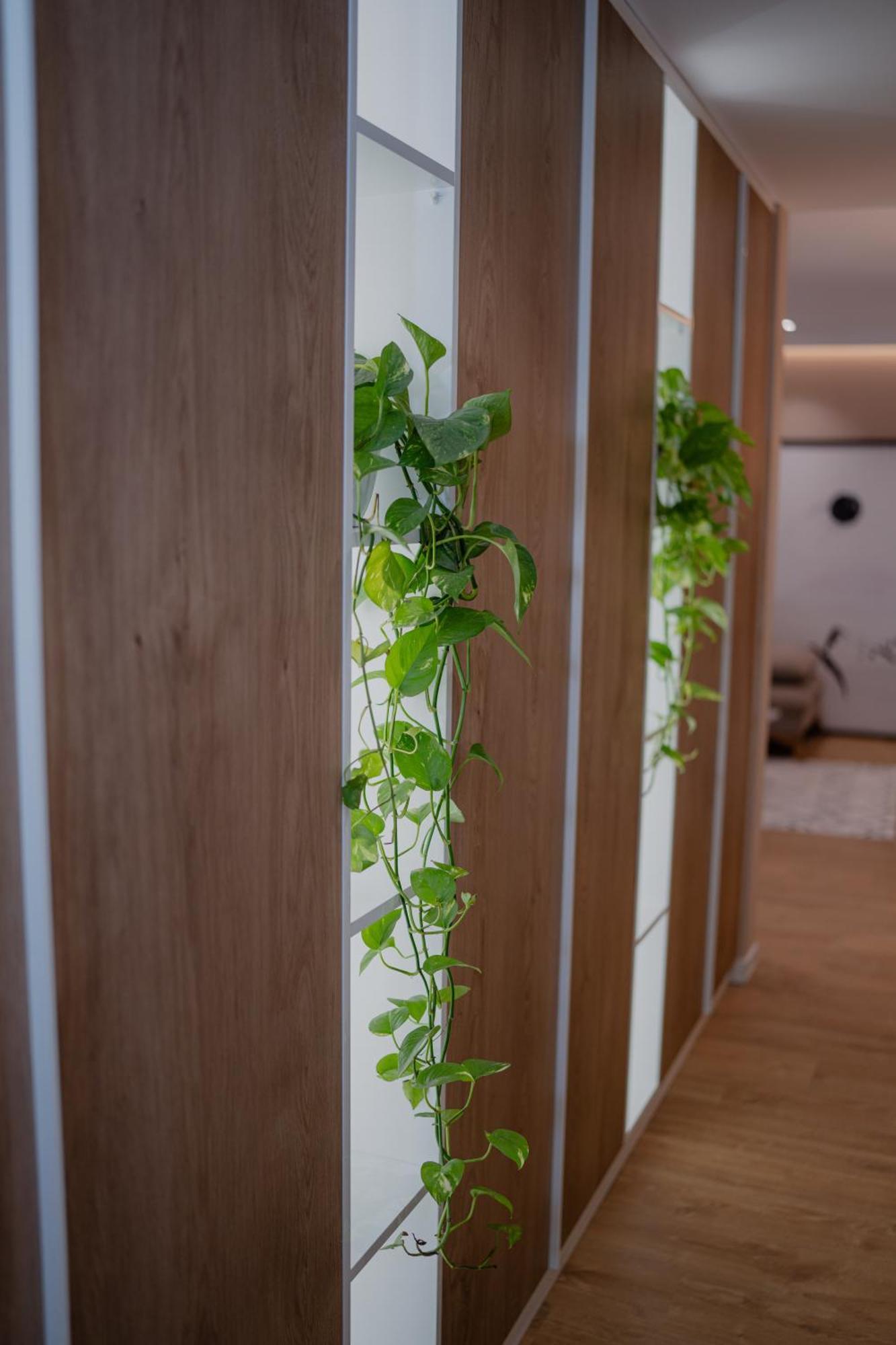 Lake Drive Rooms&Apartments Тирана Экстерьер фото